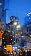 Five unrelated snapshots: city streets, ocean life, wildlife, and a laptop