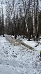 Forest running race held in snowy conditions near Zelenodolsk