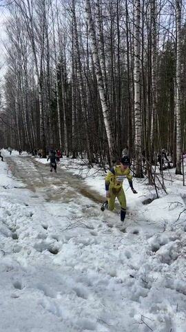 The video shows a group of people running through a muddy and snowy path in a forest. The runners are wearing athletic clothing and bibs, suggesting they are participating in a race or organized event. The path is partially covered in snow and ice, with puddles of water and mud in between. The forest is made up of tall, bare trees, likely birch based on their white bark, indicating a cold or temperate climate. The runners are spread out along the path, some running through the water and mud, while others are on the snowy edges. Some of the runners have numbers on their bibs. The video is shot from a stationary position along the path.