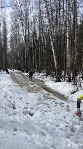 Forest running race held in snowy conditions near Zelenodolsk