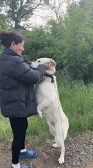 Woman visits Bulgarian wildlife park with dog, observes deer