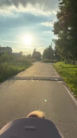 The video shows a point-of-view perspective of someone traveling along a paved road in a rural area. The road has speed bumps. The sun is setting, casting a warm glow and creating lens flare. The sky is a mix of blue and white clouds. On either side of the road, there is lush green grass and trees. In the background, there are houses and utility poles, suggesting a village or small town setting. The overall mood is peaceful and serene, typical of a summer evening in the countryside. The video appears to be filmed in Shevlyagino, Russia. There is no visible text in the video.