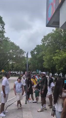 The video shows a line of people standing on a sidewalk in front of trees and buildings. The sky is cloudy. People are dressed in casual clothing. Some people are wearing green and white shirts, which may indicate they are fans of a sports team. A young child is being carried by an adult in the middle of the line. The line appears to be moving forward slowly. The environment looks like an urban area.