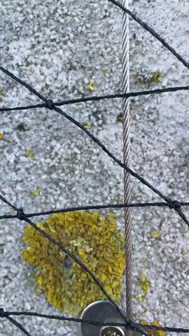 A close-up shot shows a section of a concrete wall covered in moss. A thin cable runs vertically down the wall, secured by a metal clamp with a screw. A black net is stretched diagonally across the wall, creating a grid pattern. The camera pans up to reveal a worker dressed in a black suit and helmet, rappelling down the side of a tall building. The worker is attached to a rope and is working near the edge of the building's facade, which is covered in glass panels and a similar net. The background shows a town with houses and trees under a cloudy sky.