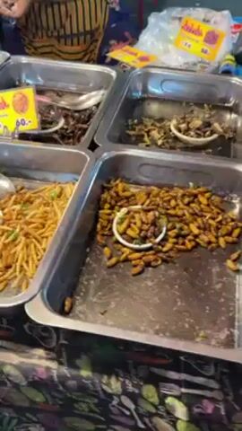 The video shows a vendor selling a variety of cooked insects. Trays display grasshoppers, beetles, water bugs, and other unidentified bugs. Price tags are visible, indicating the cost of each item. The vendor uses a ladle to serve one of the insect dishes.