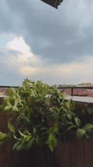 Heavy storm batters a residential neighborhood in Montana, Bulgaria
