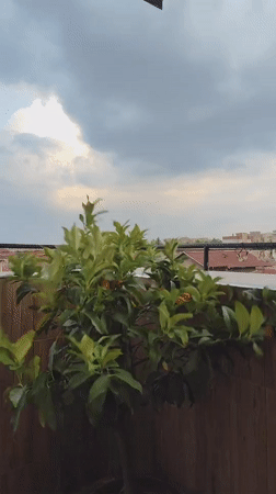 Heavy storm batters a residential neighborhood in Montana, Bulgaria