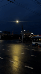 Nighttime street scenes and cat encounter documented in Yerevan