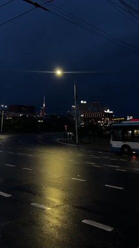 Nighttime street scenes and cat encounter documented in Yerevan