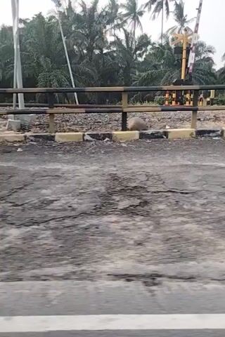 The video is a shaky, sideways, first-person view of a road with a train crossing gate in the foreground on the left. The gate is yellow and black and appears to be lowered. Beyond the gate, there are palm trees and some vegetation. The road is asphalt and appears wet, possibly from rain. There is a white line marking the edge of the road on the right. The camera is moving forward at a moderate pace.