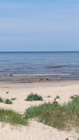 The video shows a calm beach with gentle waves rolling in. The sand is light brown and dotted with tufts of green grass. In the foreground, a bird stands on the sand. Further back, near the water's edge, several people are visible. Two individuals are wading in the shallow water, while another person is kneeling on the sand. In the distance, a lone figure walks in the sea. The sky is a clear blue with a few wispy clouds. The overall atmosphere is peaceful and idyllic.