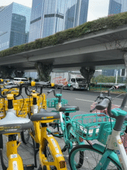 Morning street scenes documented across Guangzhou districts