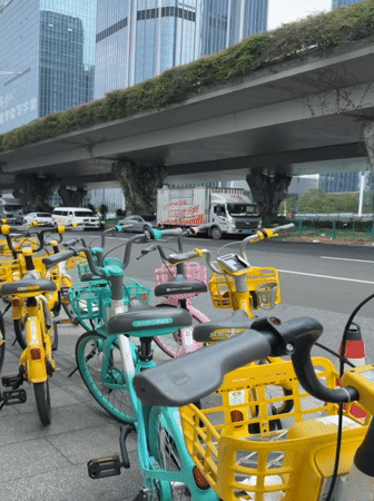 Morning street scenes documented across Guangzhou districts