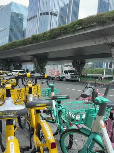 Morning street scenes documented across Guangzhou districts