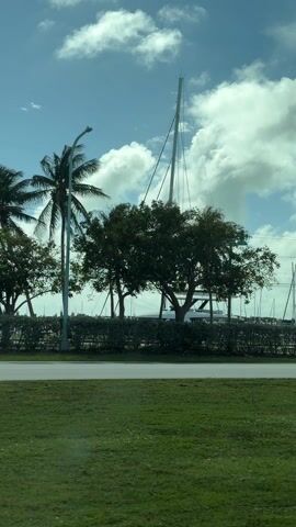 The video shows a view of a marina seen from a moving vehicle on a sunny day. The marina is lined with various boats and yachts, some with tall masts. Palm trees and other greenery are interspersed along the roadside, and a well-maintained grassy area is visible in the foreground. The sky is bright blue with scattered white clouds. The video captures the vehicles driving along the road and the general atmosphere of a coastal area.