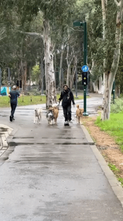 Overcast afternoon brings quiet moments to Tel Aviv parks
