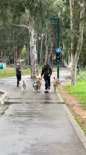 Overcast afternoon brings quiet moments to Tel Aviv parks