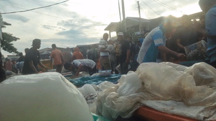 Fish vendors sort daily catch at Lhokseumawe market