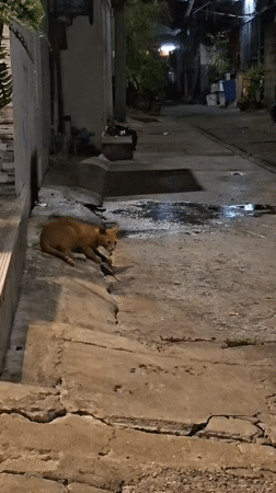 Bangkok, Thailand
