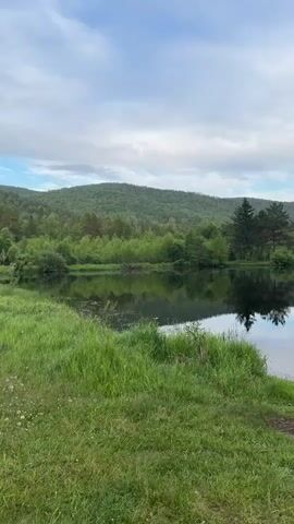 This is a vertical video of a serene landscape. The foreground is dominated by lush green grass, leading to the edge of a calm body of water. The water perfectly reflects the surrounding trees, the rolling green hills in the background, and the cloudy sky above. The sky is a mix of blue and white clouds, suggesting it might be late afternoon or early evening. The overall atmosphere is peaceful and natural. There are no people or visible objects other than the natural elements. The video appears to be stationary, capturing a single, static scene.