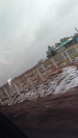 The video, shot from a moving vehicle, shows a rural landscape under a gray, overcast sky.  A field is visible, marked with rows of white posts or supports, possibly for a vineyard or similar agricultural setup. Patches of snow cover the ground between the rows. A few bare trees and a house with a light green roof are seen in the background. The lower edge of the frame shows the dark interior of the vehicle.