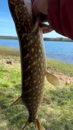 Morning fishing trip documented in rural Aleksandrovka, Russia