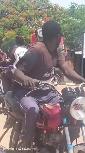 Robot costumed figures, pickup with giant teddy bear spotted Akwanga
