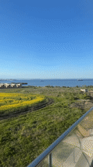 Man with dogs enjoys coastal view from Burgas balcony