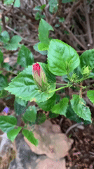 Early morning nature photography and outdoor activity documented