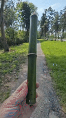 Person walks with bamboo near bird graffiti in Chabkwara