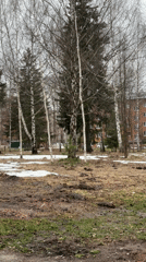 Child in stroller enjoys spring day in Izhevsk park