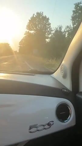 The video shows the interior of a white Fiat 500 car. The sun is setting, casting a warm golden light through the windshield. The car is driving on a paved road lined with trees. In the distance, a signpost is visible with a graphic and text. The driver's side mirror reflects a person or an animal inside the car. The dashboard features a "500" logo and an air vent. Dust particles are visible in the air, illuminated by the sunlight.