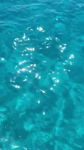 A close-up, top-down view of clear, turquoise water, likely the ocean. Sunlight glints off the surface in scattered, bright sparkles. The water is gently rippling, creating a textured pattern of light and shadow on the seabed below. A dark, wavy line, possibly a piece of seaweed or a shadow, is visible just beneath the surface. The overall impression is one of serene, natural beauty.