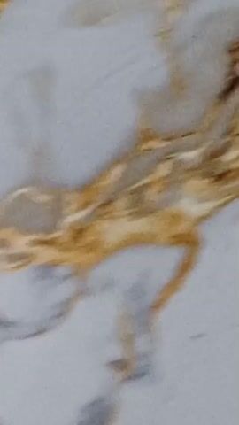 The video shows a close-up of a marble-like surface with white, gray, and gold veins. The camera slowly pans across the surface, highlighting the intricate patterns and textures. The lighting is soft and even, emphasizing the natural beauty of the material. There are no people or objects visible in the video, only the abstract patterns of the stone.