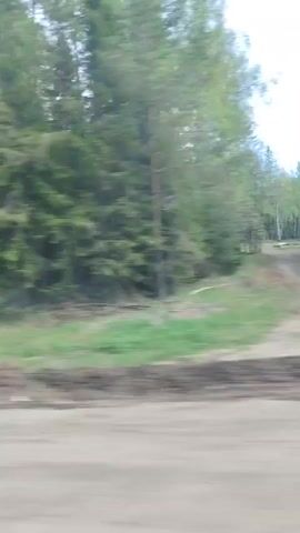 The video shows the view from a moving vehicle.  On the right side of the road is a dense forest. The road appears to be gravel or dirt. The video is shot from inside the vehicle, showing the side mirror. The movement of the vehicle makes the forest appear blurred.