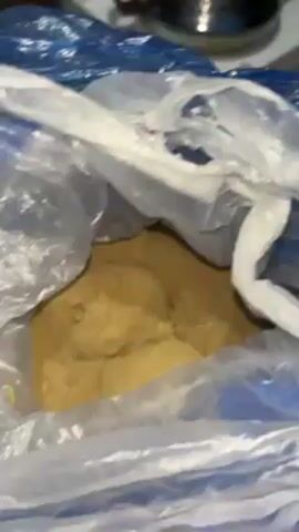 Here is a description of the video:

A person is holding open a blue plastic bag, revealing a quantity of fine, light brown powder inside a clear plastic bag. The powder appears to be packed into a solid mass. The camera is positioned inside the blue bag, looking down at the powder. The surroundings are out of focus, but a stovetop or kitchen counter is visible in the background.