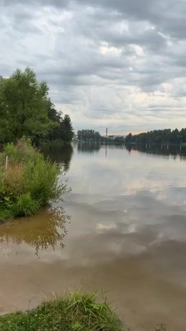 The video shows a wide, calm body of water with gentle ripples reflecting the overcast sky and a distant treeline. On the left side of the frame, lush green reeds and foliage grow along the bank, with a few branches dipping into the water. Across the water, a dense line of trees borders the far bank. In the distance, a tall industrial smokestack with red and white bands stands prominently against the sky. To the right of the smokestack, various buildings and more trees are visible. The sky is filled with heavy, grey clouds, but there are hints of orange light peeking through near the horizon, suggesting either dawn or dusk. The overall impression is a serene, natural landscape with a touch of industrial presence. There are no people or animals visible in the video.