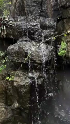 A rocky waterfall trickles down a series of ledges. Plants grow out of the rocks, and water droplets are visible in the air.