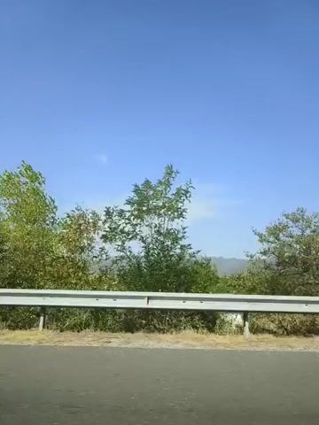 The video shows a roadside scene from the perspective of a moving vehicle. On the left side of the frame, there is a white metal guardrail running horizontally. Beyond the guardrail, there are trees and vegetation under a clear blue sky. The trees are mostly green, with some appearing to be in various stages of leaf development. The foliage is dense in some areas and sparser in others. The ground beneath the trees appears to be dry and covered with grass and some scrub. In the background, there are hints of hills or mountains. The perspective suggests the vehicle is traveling along a road, indicated by the gray asphalt strip at the bottom of the frame. The lighting is bright, suggesting daylight. There are no people or animals visible in the frame.