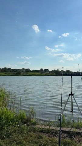 The video depicts a serene lakeside scene under a bright, partly cloudy sky, suggesting it's daytime, likely late morning or early afternoon given the sun's position. Two fishing rods are set up on a tripod at the water's edge, indicating that fishing is the activity taking place. The lake is calm, with gentle ripples on the surface reflecting the sunlight. Lush green grass and reeds grow along the bank, adding to the natural beauty of the setting. In the distance, across the water, a line of trees and some houses are visible, hinting at a rural or semi-rural environment. The overall mood is peaceful and tranquil, evoking a sense of calm and relaxation often associated with nature and outdoor activities. There is no visible text in the video.