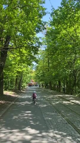 A child on a tricycle pedals down a paved path lined with cobblestone edges, through a park with large, leafy trees forming a green canopy overhead. The path leads to a distant building where people are gathered. The day is sunny, casting shadows on the path. The camera follows the child from behind as they move forward.