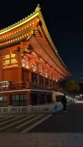 The video shows a Japanese building lit up at night. The building is made of red wood and has a traditional Japanese roof. There is a man standing near the building. The video is taken from a low angle, which makes the building look large and imposing. There are voices in the background.