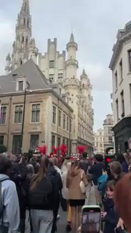 The video shows a street scene in what appears to be a European city. The camera is positioned among a crowd of people, looking towards a group of individuals dressed in what appears to be ceremonial guard attire. These individuals are wearing helmets adorned with bright red plumes and are marching in formation. The crowd is watching and photographing the group. Tall, ornate buildings with detailed stonework form the backdrop of the scene. The day is overcast.