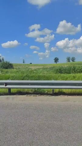 The video shows a side view of a landscape from a moving vehicle. The ground is covered with green grass and some patches of yellow flowers. A metal barrier runs along the side of the road. In the distance, there are a few trees under a clear blue sky with white clouds.