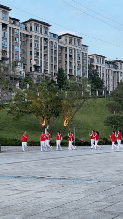 Group exercise, tree maintenance observed in Jiangjin park area