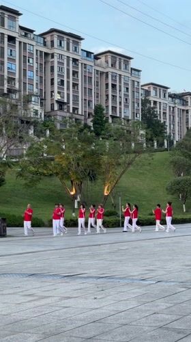 Group exercise, tree maintenance observed in Jiangjin park area