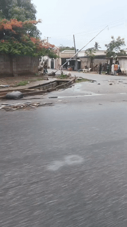 Sheep gather on rainy street in Kaduna village