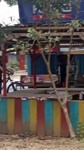 A person on a bicycle rides past a small open-air establishment. The establishment has a colorful, striped wooden barrier in front and a corrugated metal structure in the back. Trees are present in the foreground and behind the barrier.
