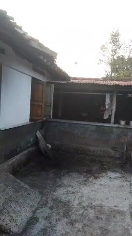 A person stands in front of a building and makes a video of the scene. The building appears to be made of corrugated metal and concrete. There is a lot of clutter in front of the building. The ground is concrete and is wet in some areas. There are trees in the background.