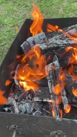 A close-up, eye-level shot shows burning wood logs and charcoal in a black metal grill. Flames in shades of orange and yellow dance and flicker around the logs, which are charred and covered in white ash. The grill is filled with pieces of wood and ash, with a hint of green grass visible in the blurred background. The camera is positioned to provide a clear view of the fire.